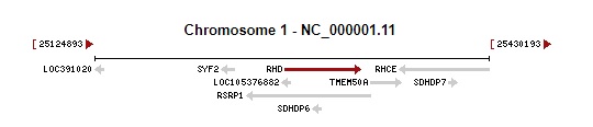 Chromosome One RHD deletion