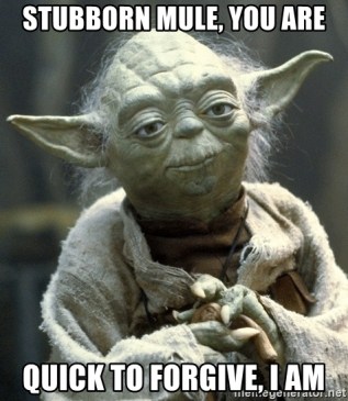 stubborn-mule-you-are-quick-to-forgive-i-am