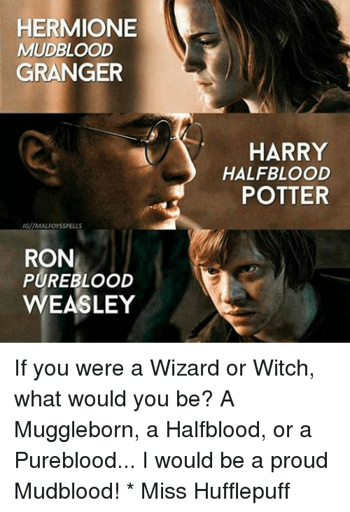 hermione-mudblood-granger-harry-halfblood-potter-g-malfoysspells-ron-pureblood-weasley-26013897