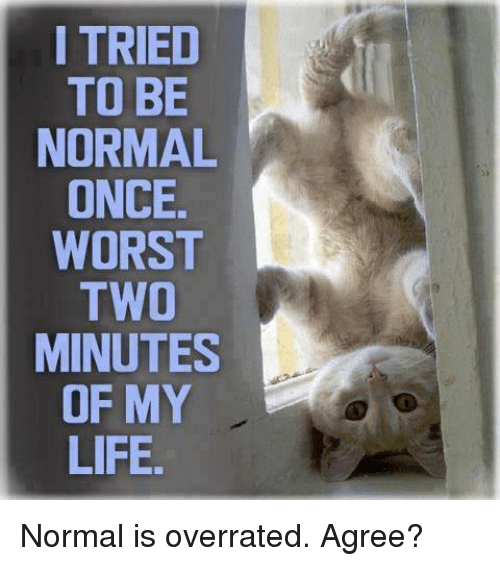 i-tried-to-be-normal-once-worst-two-minutes-of-9876413
