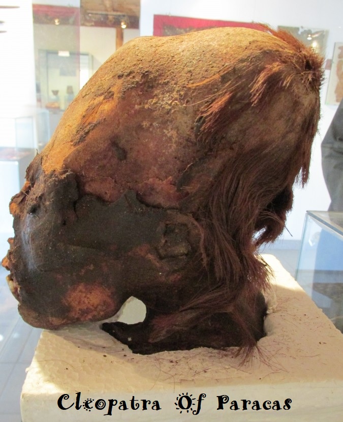 Elongated skull 3 Peru