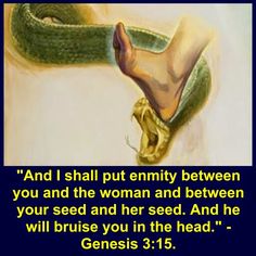 Gen. 3 15